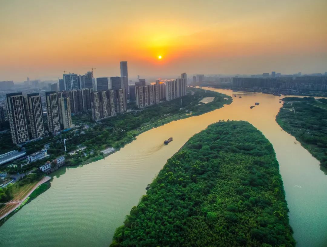 赏绿道 | 水清岸绿,白鹭齐飞,东平水道碧道纳入粤港澳