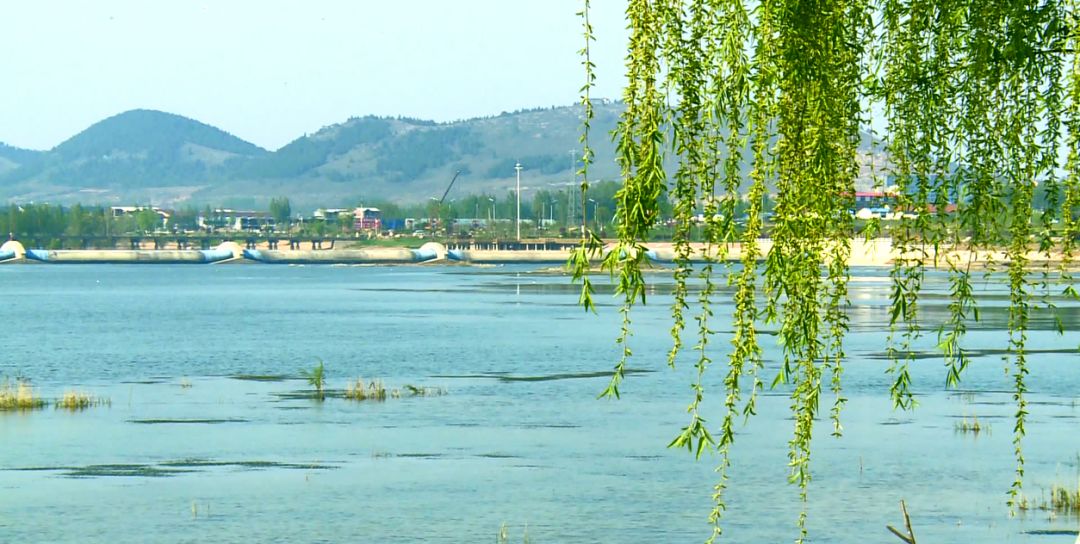 玉白河流经朝阳,芝麻墩,梅家埠三个街道,北起玉白河与小埠东东干渠