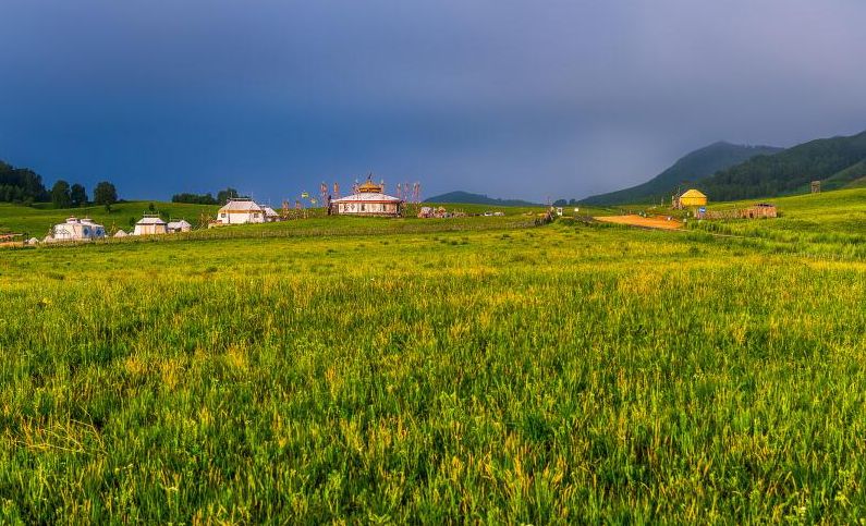 想去的地方是草原简谱_你是草原美丽的花简谱(2)