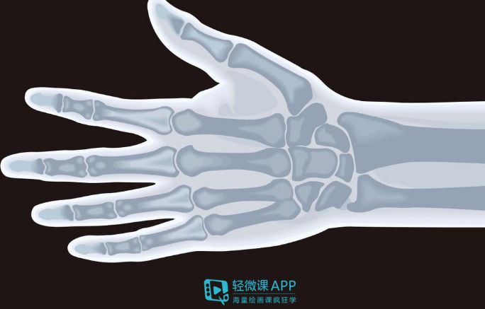 手的基本画法步骤图解