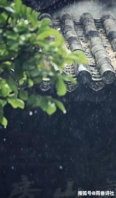 一起品诗词,在夏日中听雨,唯美一段又一段的时光