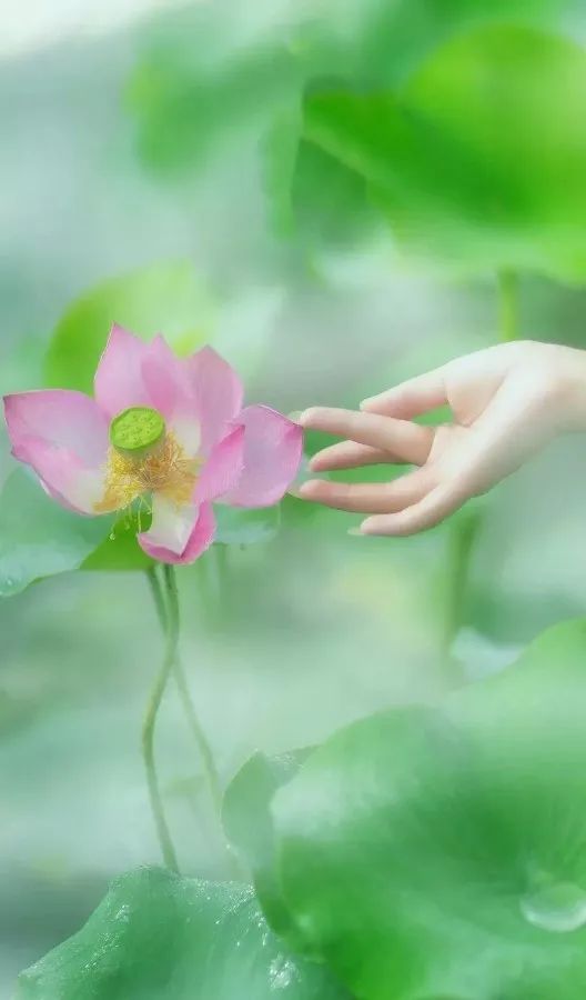 心籁之音丨《慈经》