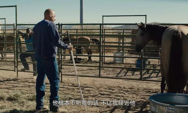 网盘新宠!这战狼百度云网盘下载部R级意外赚走很多男人的眼泪-奇享网