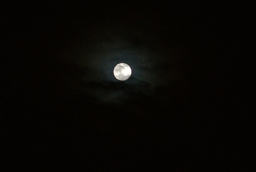 寄月相思夜凄凉