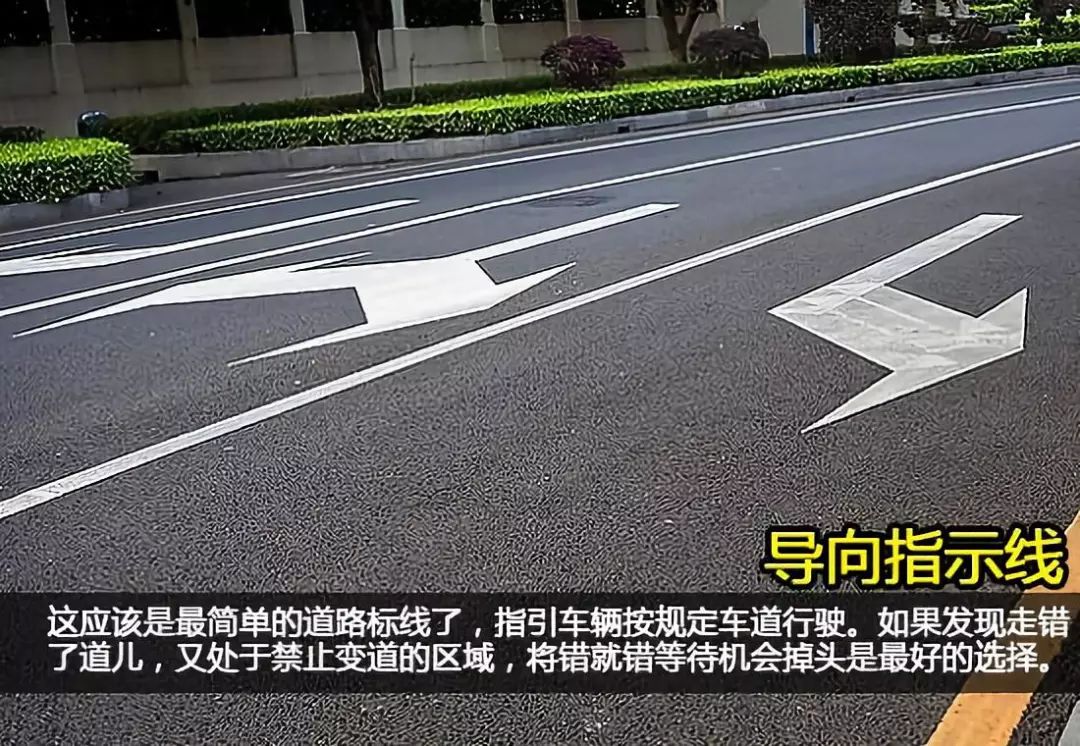 【宣城1061】违反警告标线指示 交警接举报予以处罚