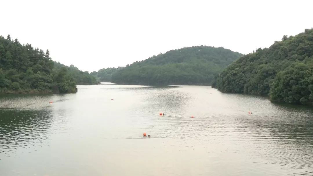 狮子口水库为我市应急备用水源地,集水