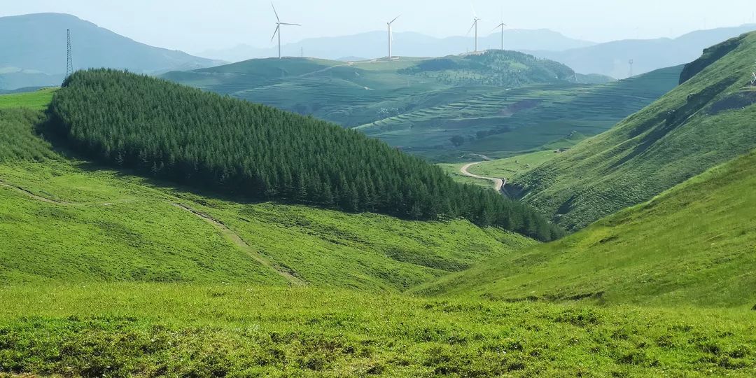 把每个沟壑角落都涂染的灿烂醉人 顺着高山公路爬过山丘和草原 媲美"