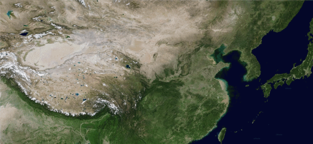 d005fa76099447769655d44cfcf38745.gif