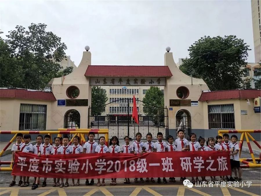 山东省平度实验小学2018级1中队 "大手拉小手,垃圾分类齐步走"