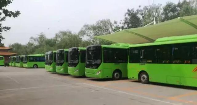 好消息!魏县城市公交8月8日正式运营 前三个月免费乘坐! e乐博娱乐网