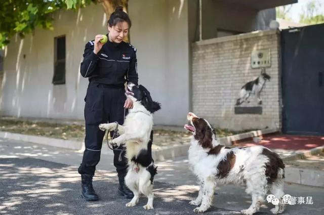 探秘丨警花与警犬