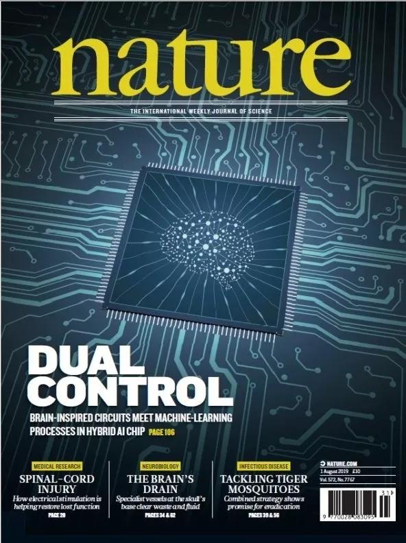 8月1日,顶级学术期刊《自然》(nature)的封面文章介绍了中国科学家