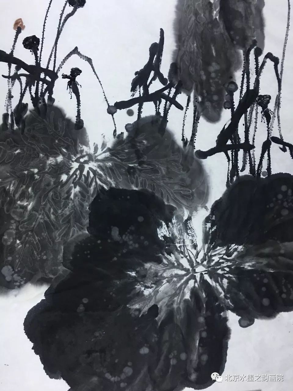 娄建国导师工作室2019年花鸟画创作高研班同时正在招生,2019年9月20