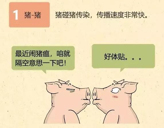 67非洲猪瘟防控知识_传播