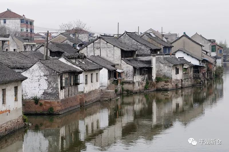 新仓这处地方通过历史文化保护规划评审啦~_平湖市