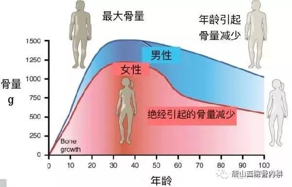 提高峰值骨量主要从以下几个方面做起：1.