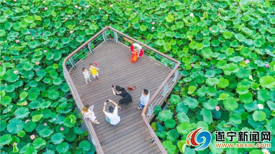 据悉,圣莲岛四季花海项目结合景区地形地貌,分区域打造风格迥异的"