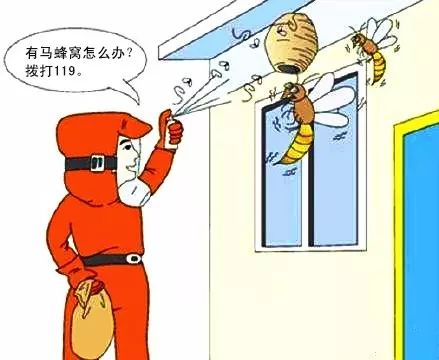 f92453c057384ca0a384324b8425d392.jpeg