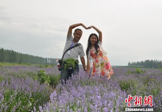 新疆万亩薰衣草盛开 绚丽花海醉游人 白金会现场娱乐