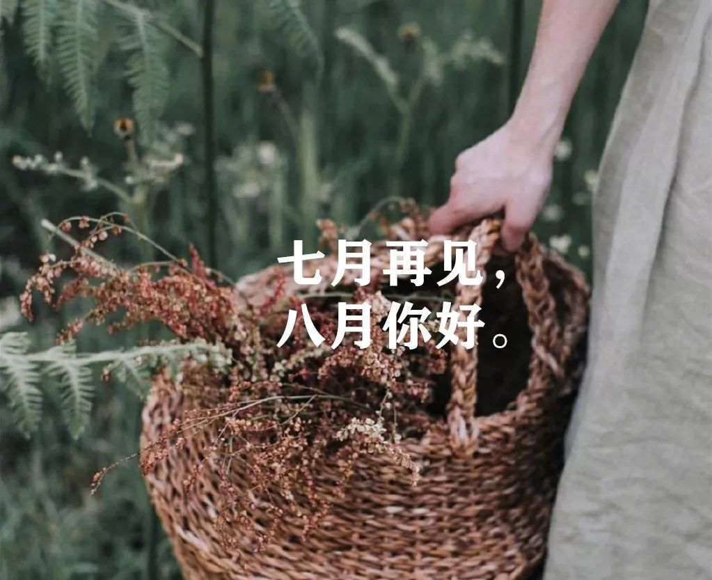 七月再见,八月你好!