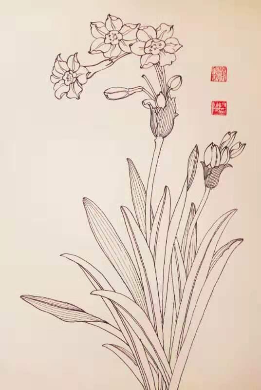 再来一波叶志军先生的钢笔白描花卉想必你会喜欢吧
