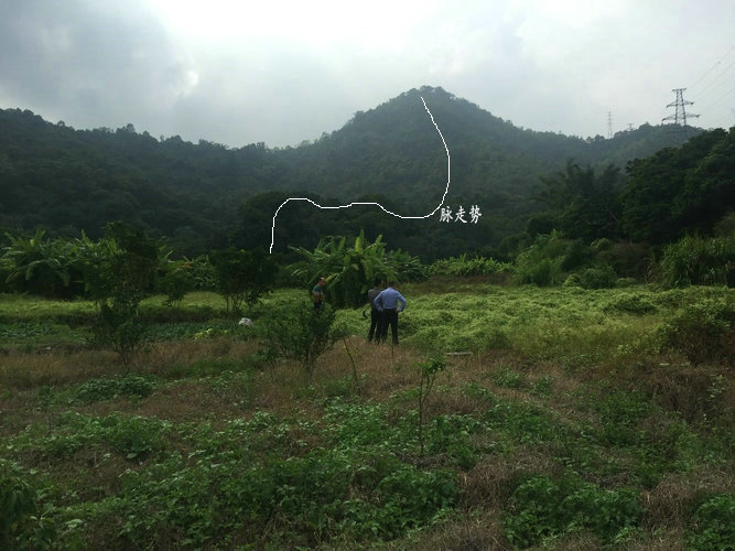 潮州风水宝地真武仗剑形,王君植风水大师现场一一检点