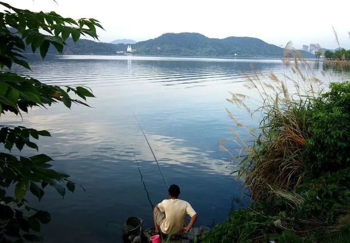 掌握这4种钓法,流水作钓想空军都难!