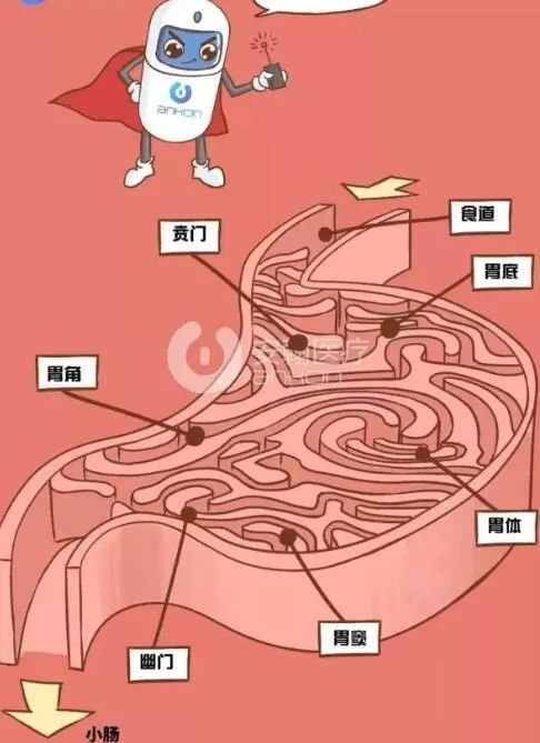 小胶囊,大效果——台州骨伤医院引进磁控胶囊胃镜