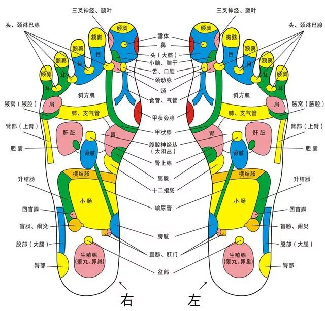 ?人老脚先衰!教你腿足保健操,舒筋活络人