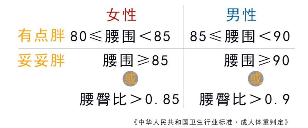 陪你瘦 | 研究发现:当腰围扩张的时候,脑容量会萎缩!