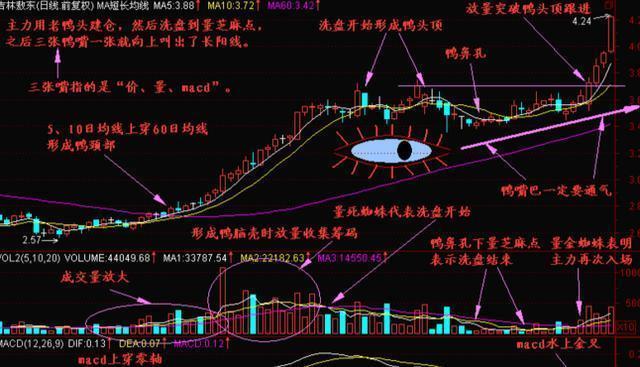 香港上市的股票怎么买卖 6fb67b99b1c54692b3ab09b2855fa011.jpeg