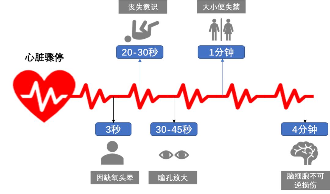 上饶中小学生请注意:这些健康,急救知识将纳入考试