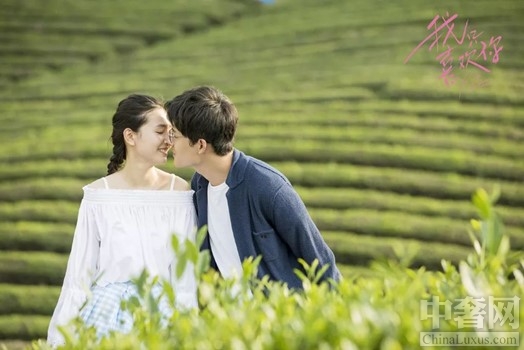 ��ֻϲ����,������������Ϧ������