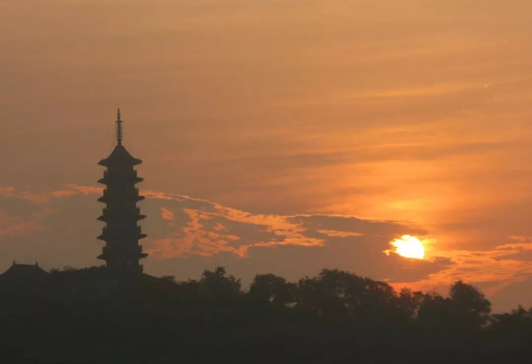 智标晨旭—智标塔