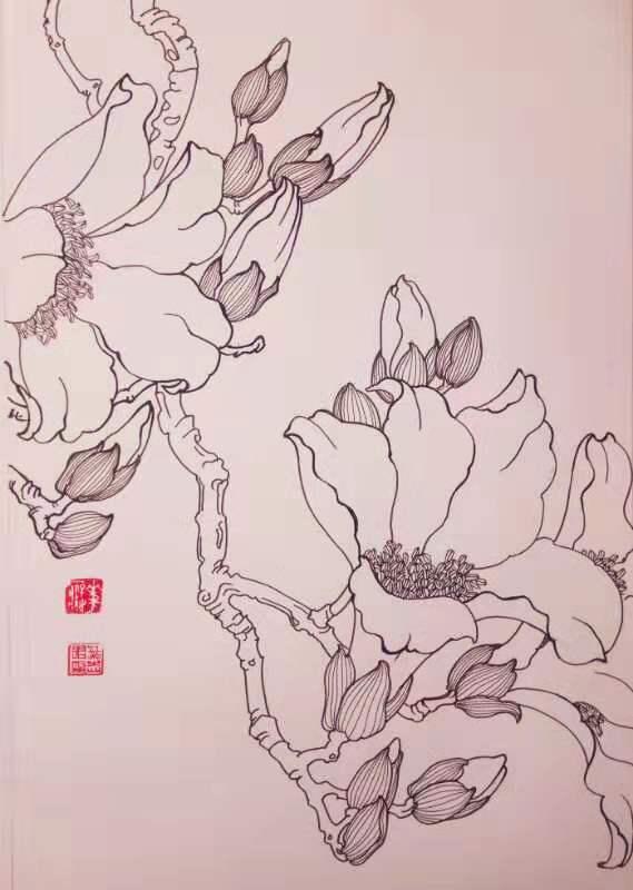 再来一波叶志军先生的钢笔白描花卉,想必你会喜欢吧