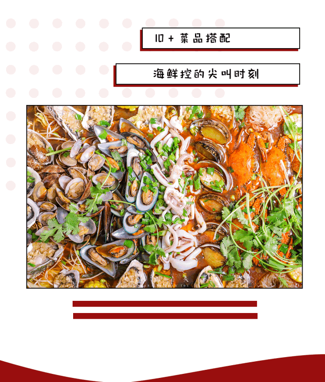 人均几十块钱就能吃到这么多海鲜!超级划算!组队走起!