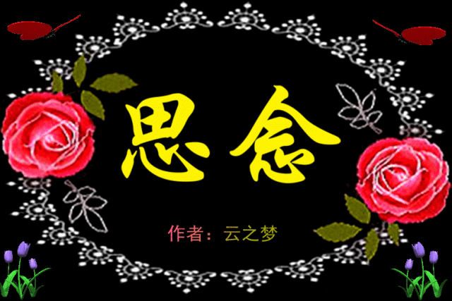一曲相思朵朵为你开美到心醉送给远方思念的人