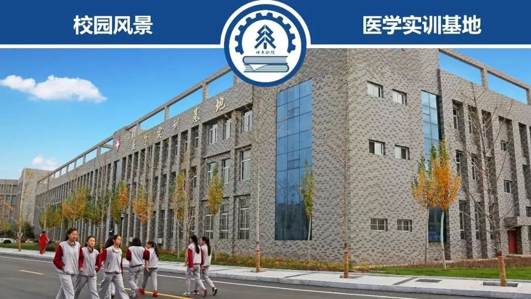 志愿填报神木职业技术学院8152在等你