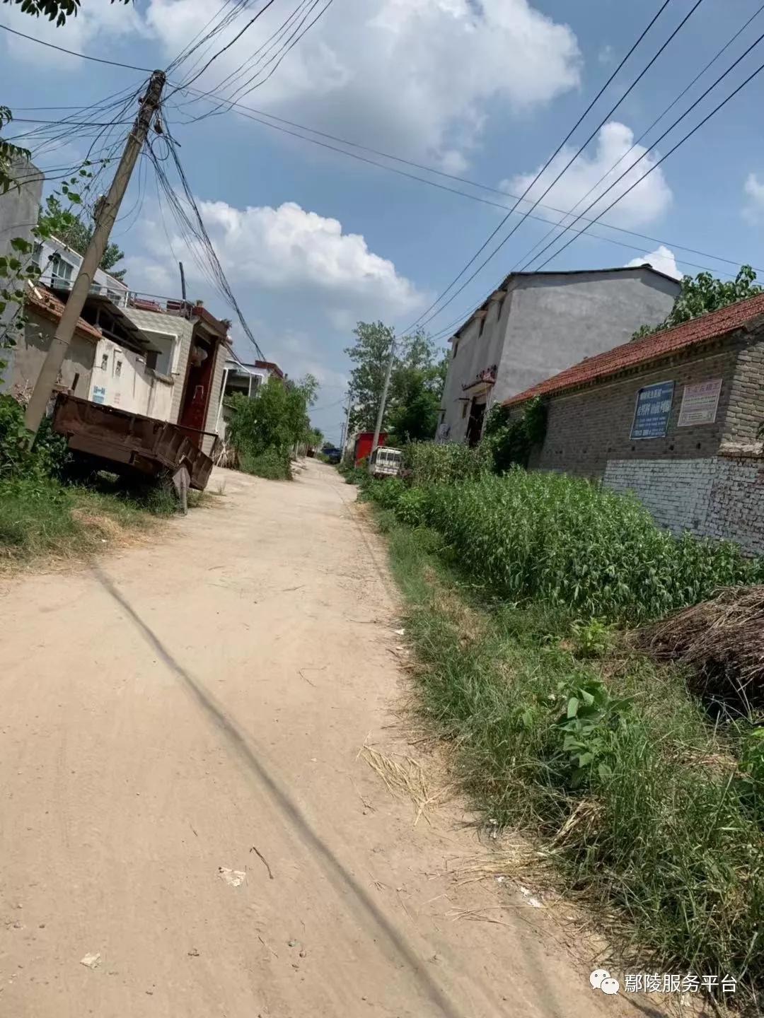 刚拍的,望田镇郭寺村,朋友圈都在流传,小编等你留言互动_鄢陵县