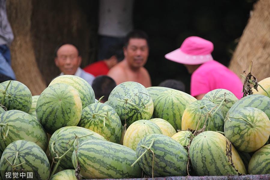 西瓜是不是寒凉的东西 b1e9c4bfe0fb43629d91de97d558c230.jpeg