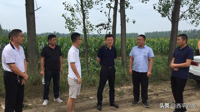 师灵镇杨环村万只养鸭基地调研,师灵镇党委书记杨坡,镇长邓传宝陪同
