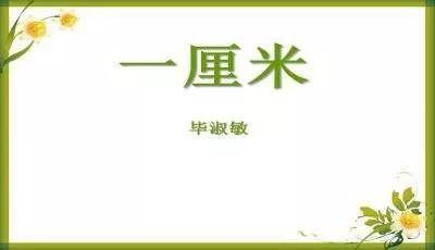一厘米(二)