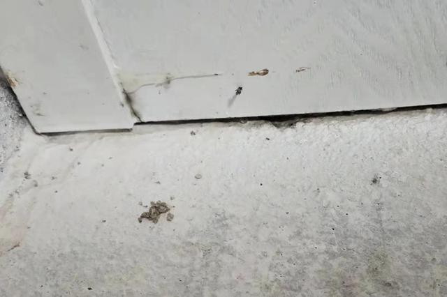 木地板被泡发半年多纠纷难解?千思装饰:公司不承担责任 OG视讯平台app下载官方版