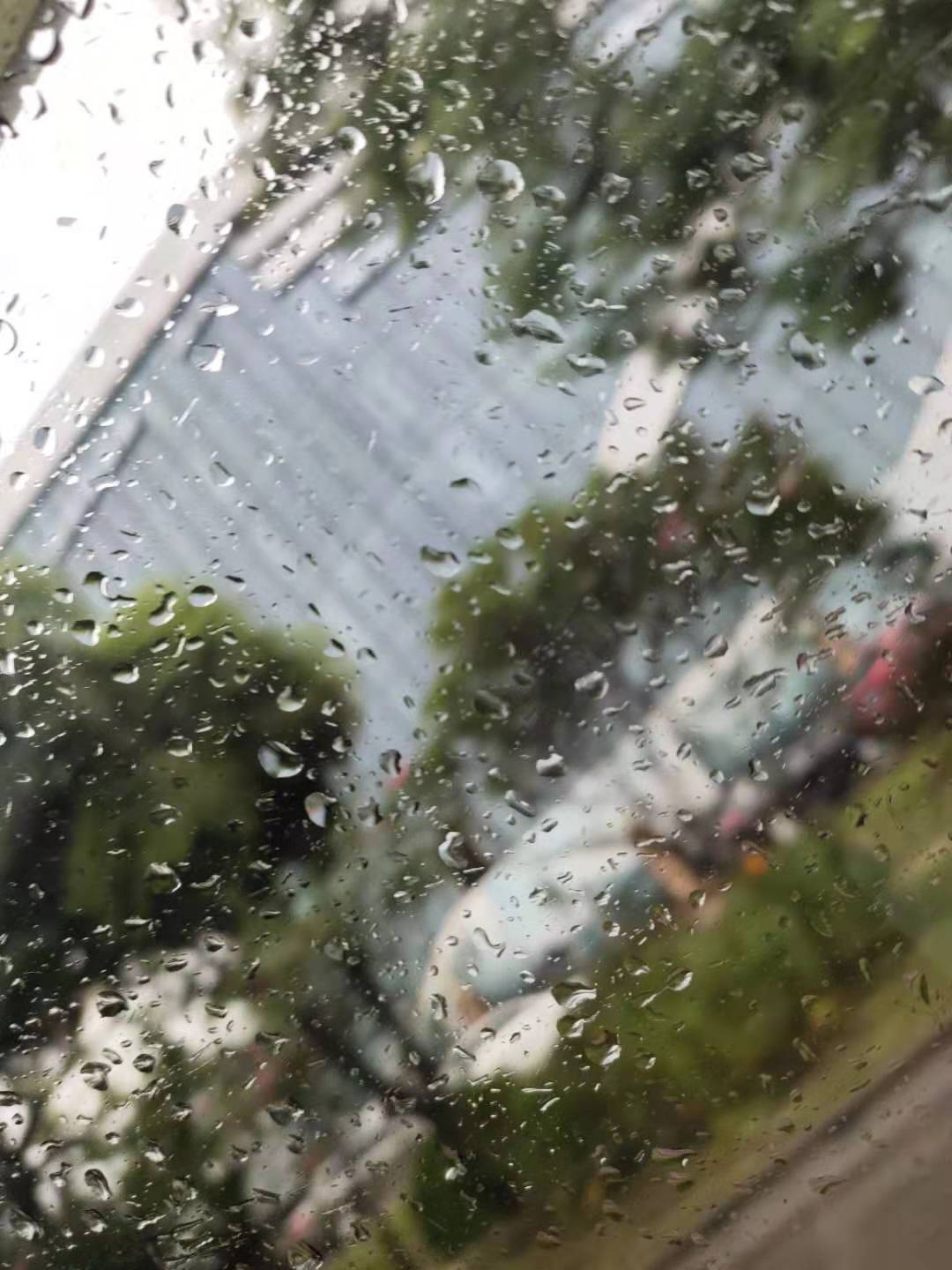 七月的风八月的雨