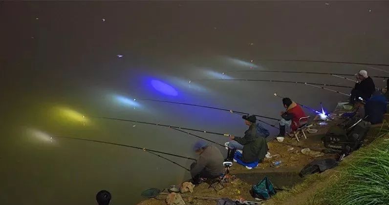 肥水黑坑作钓二个常见问题与应对办法