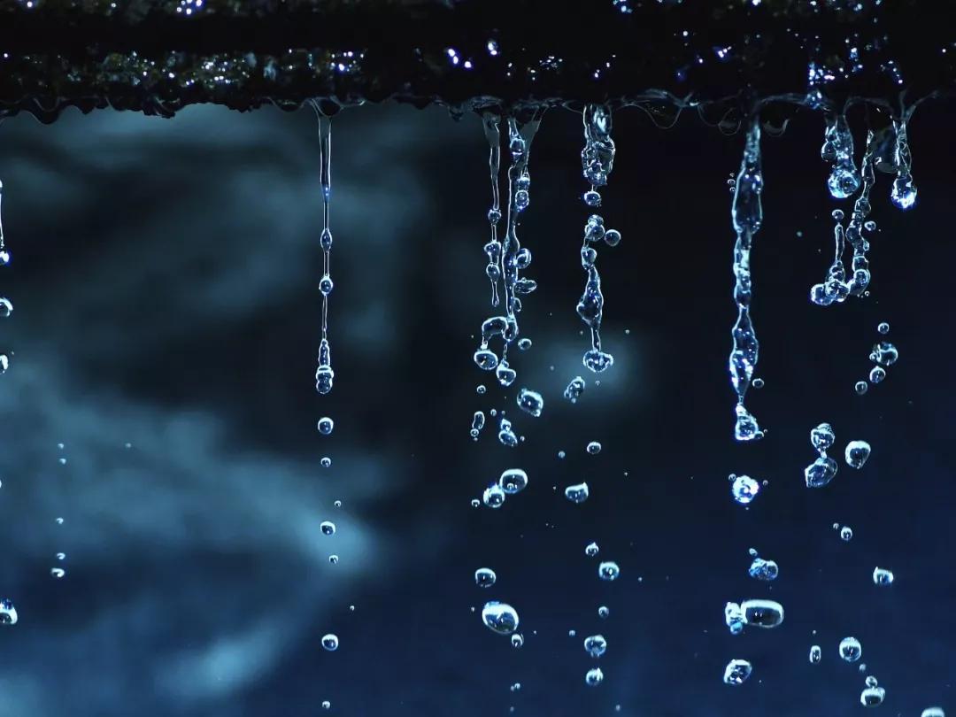 夏雨:有一种美,不期而至