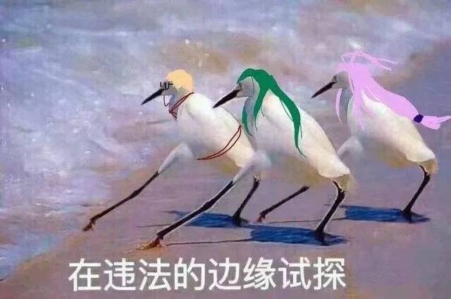 但千万不要在违法的边缘试探啊!