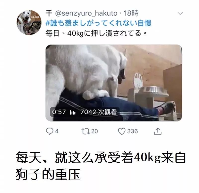 你有什么别人没有却完全不会羡慕的特长吗？每一个都是人才啊！