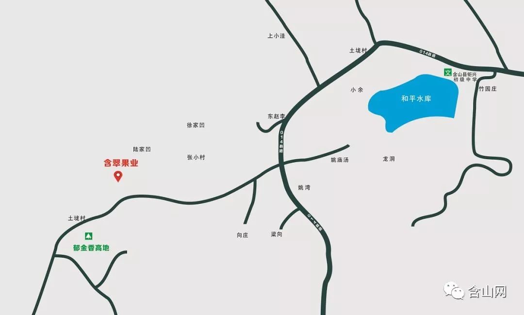 巢湖郁金香高地附近有个桃园那里的黄桃一口咬下去甜甜的蜜汁都溅出来
