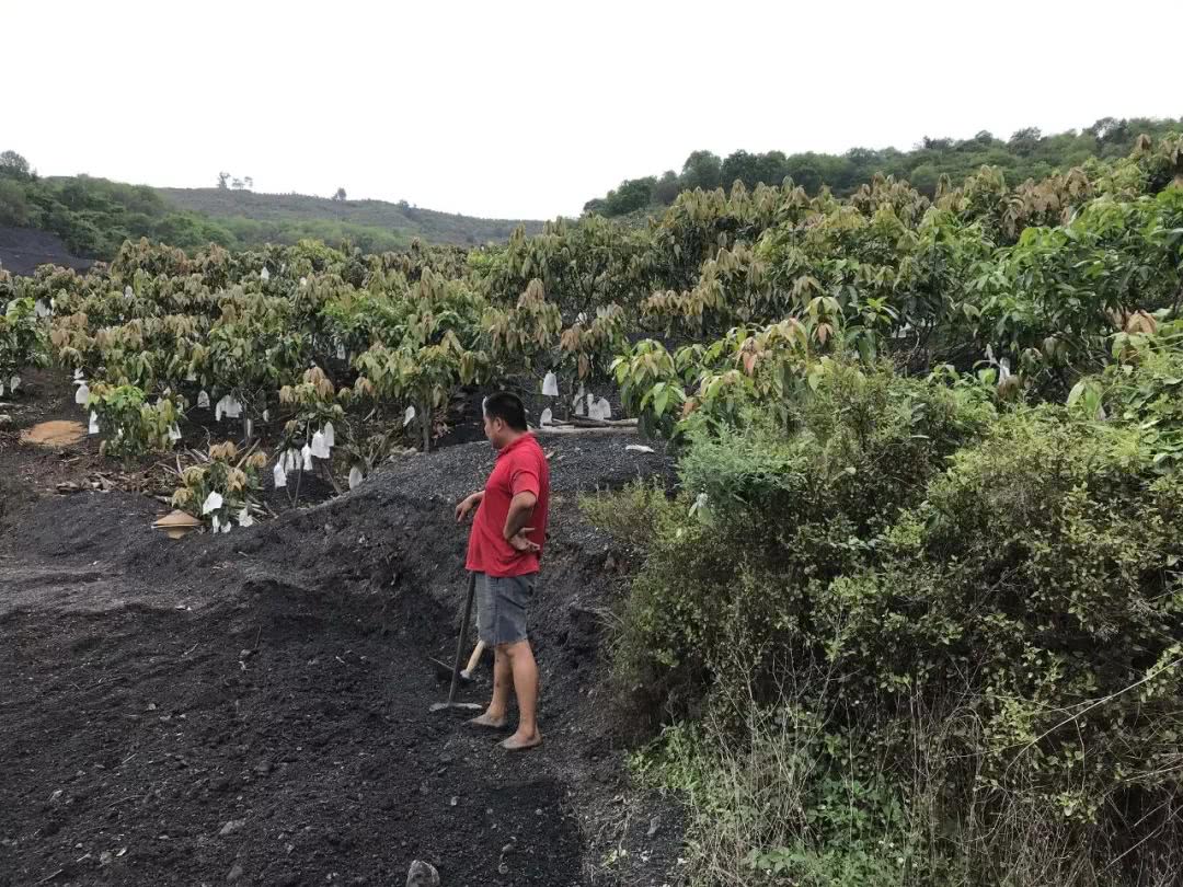 华坪人口多少_丽江华坪女子高级中学(3)